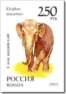 Stamps Of Asian Elephants From Russia